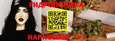 стафф Будённовск