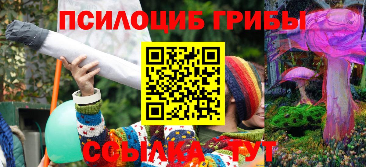 Куйбышев  Галлюциногенные грибы GOLDEN TEACHER  Вход с VPN  Псилоцибиновые грибы GOLDEN TEACHER 