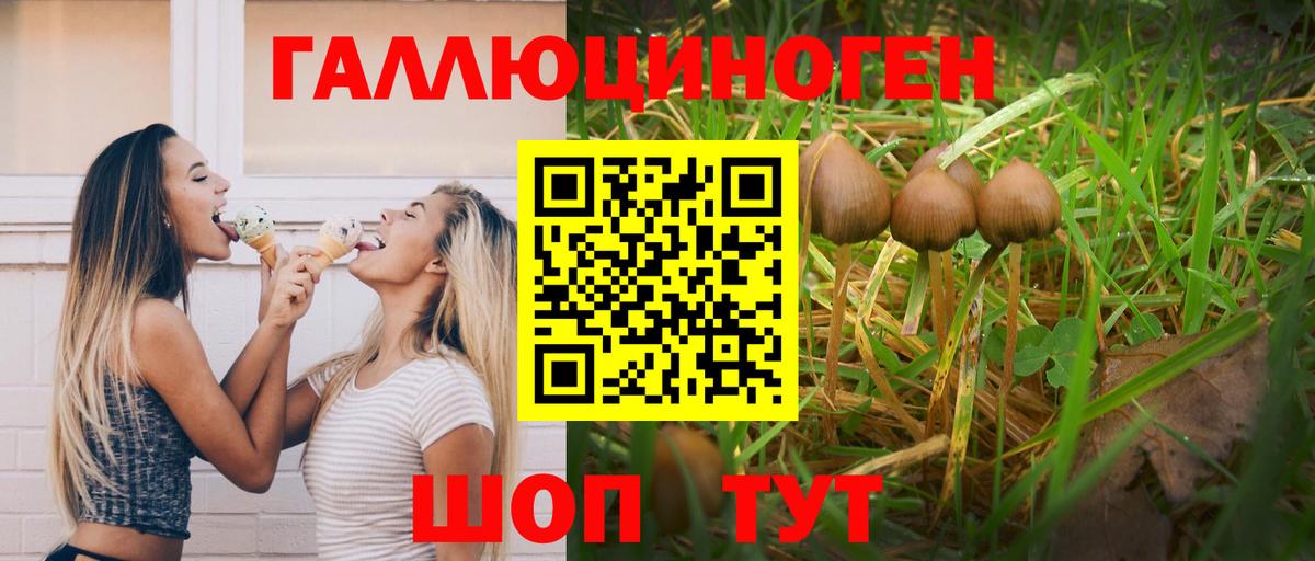 Псилоцибиновые грибы Psilocybine cubensis Куйбышев